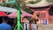 佛+光头+法国人！文班亚马一人集成马刺GDP全部要素🤣🤣